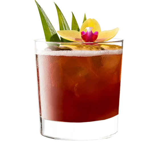 Jungle Bird cocktail in a double old fashioned glass, garnished with pineapple fronds.