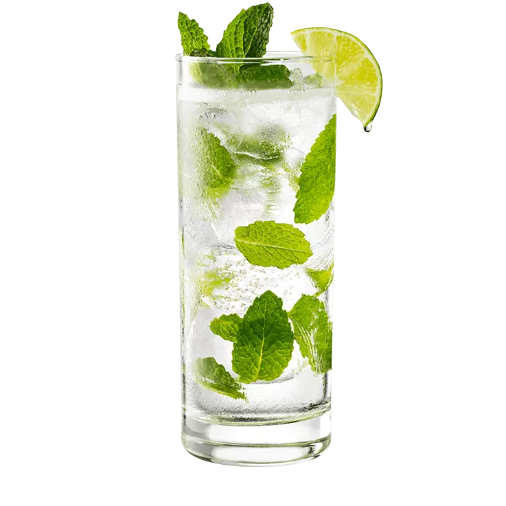 Mojito in a tall clear glass, garnished with a lime wedge and mint.