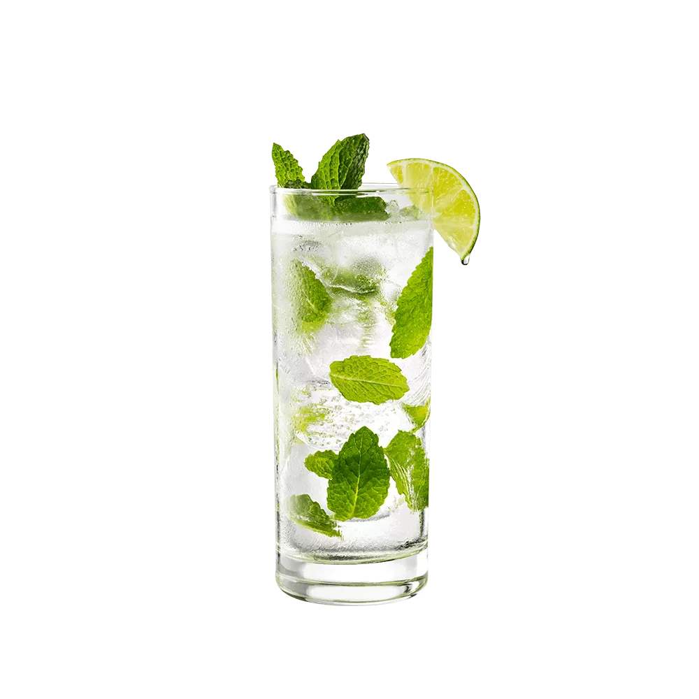 Mojito in a tall clear glass, garnished with a lime wedge and mint.